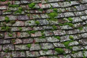 How to Remove Moss from the Roof without Chemicals