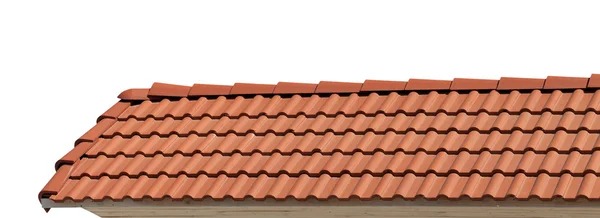 Inspect Roofline of a house roof