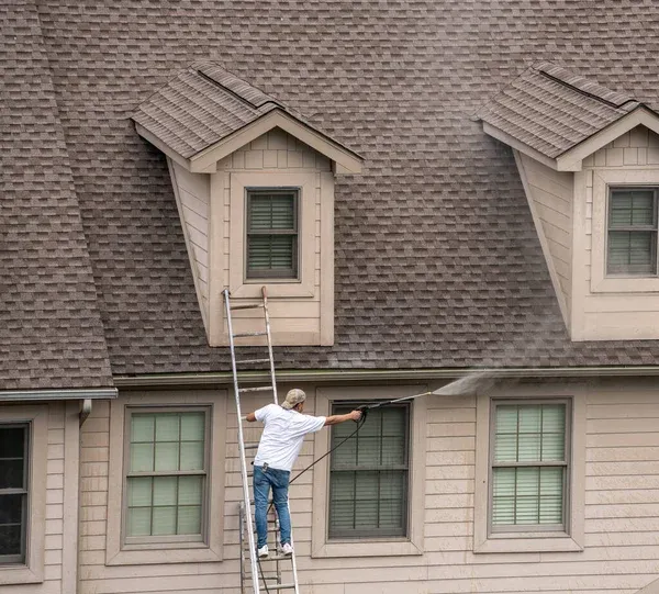 Rinse Off your roof