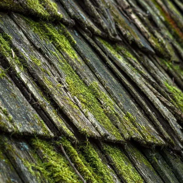 How to Remove Moss from Roof with Baking Soda | Step by Step Guide