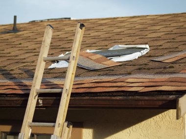 Why You Should Repair Hail Damage Quickly?