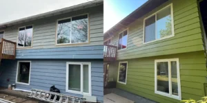 Damaged Siding and Windows